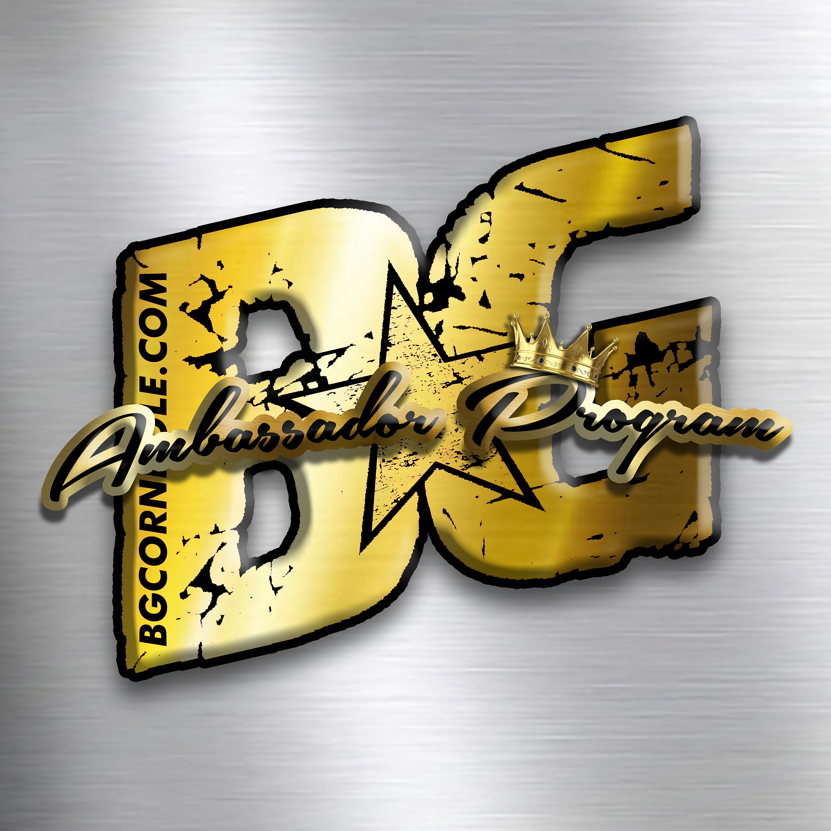 BG AMBASSADOR PROGRAM