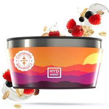 Load image into Gallery viewer, Collapsible Insulated Bowl | 1-Quart