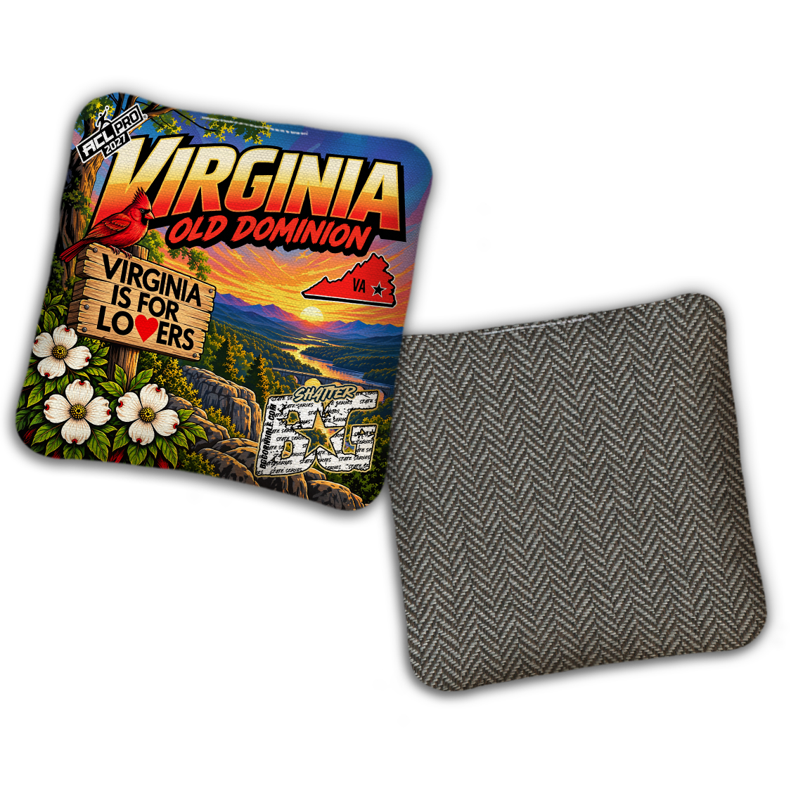 2027 BG Multiple Bag Models "Virginia Old Dominion" - ACL Pro Stamped Cornhole Bags